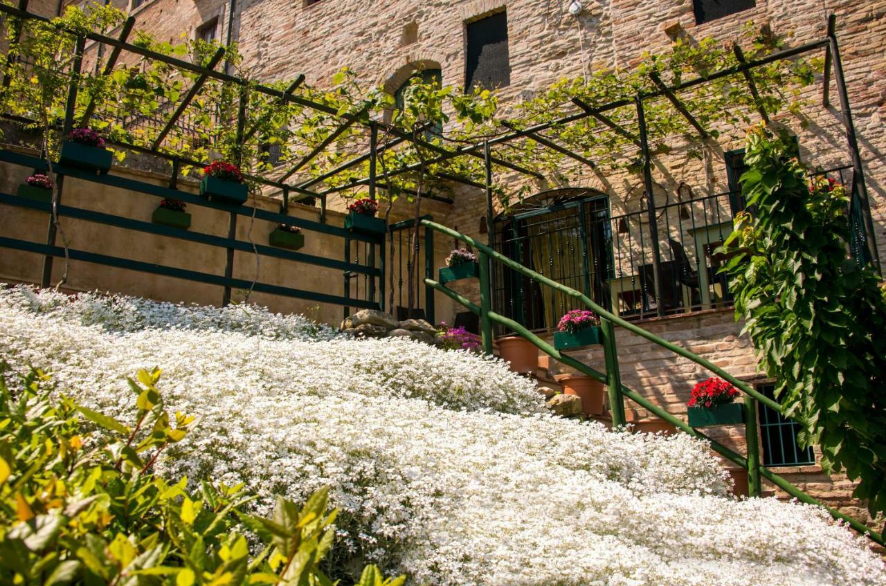 B&B Borgo Marano Cupra Marittima Dış mekan fotoğraf