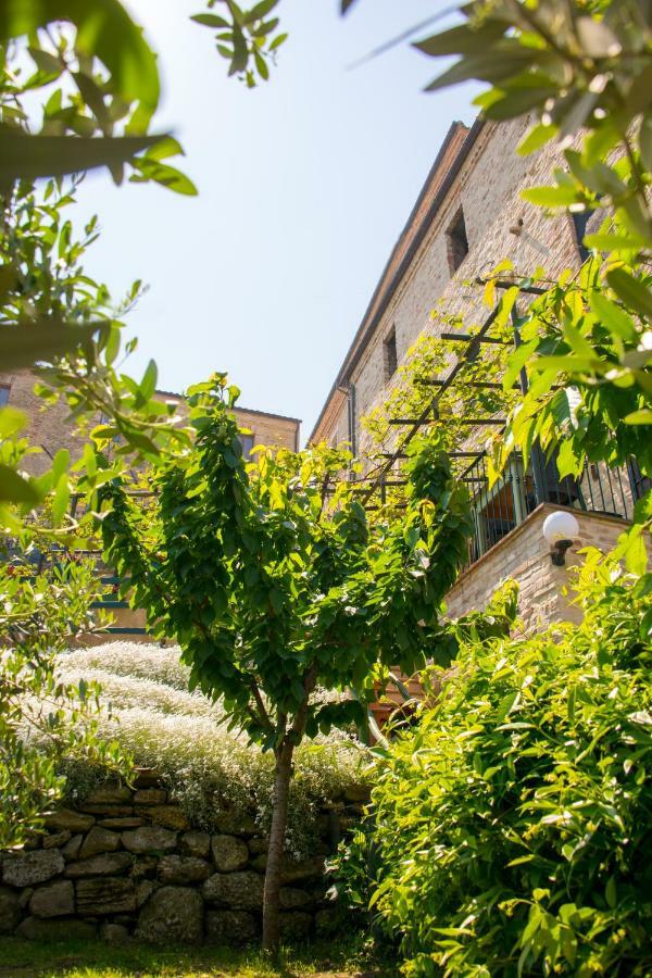 B&B Borgo Marano Cupra Marittima Dış mekan fotoğraf
